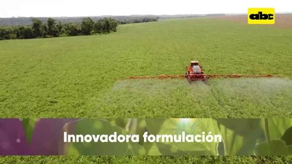 Video: aplicación de desecante y herbicidas en soja, apuntando a la cosecha