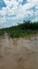 Varias familias preocupadas por la sequía y crecida del río Paraguay y Paraná