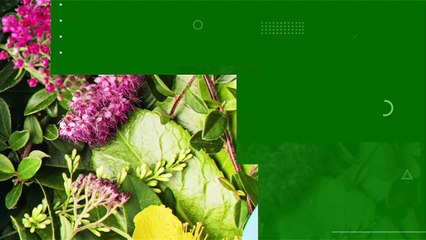 Noticiero Expreso 24/7 (2243)