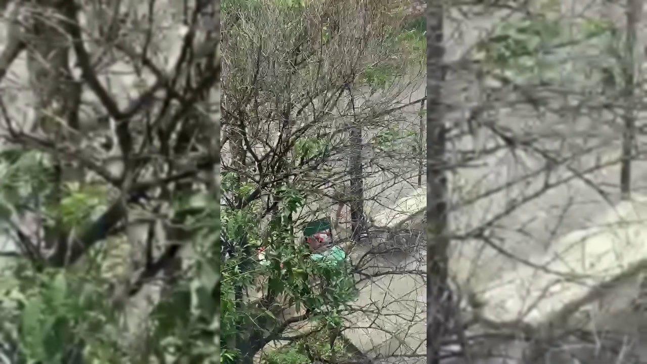 Pelea De Adictos Con Cuchillo