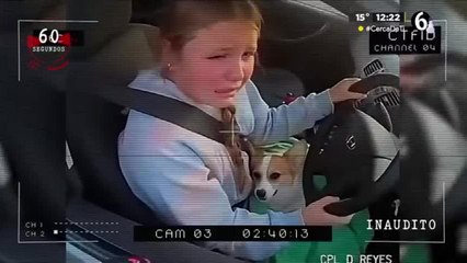 Menor maneja auto sin permiso para salvar a su perro