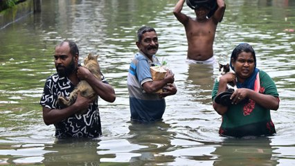 Inondations au Sri Lanka : à Colombo, la solidarité s'organise