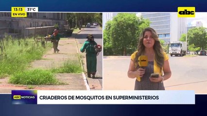 Video: Criaderos de mosquitos en superministerios