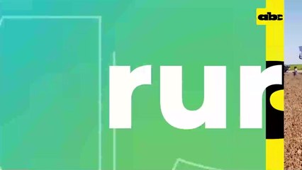 Video: Transformación de arrocera a productora de soja, maíz y ganadería