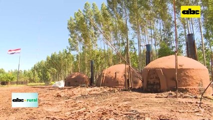 Video: Producción de carbón en forma sustentable