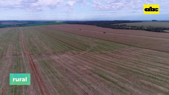 Importancia de la experiencia en el uso de productos químicos y biológicos