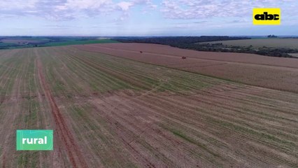 Importancia de la experiencia en el uso de productos químicos y biológicos