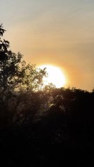 Exclu Dailymotion Urbex Zoo abandonné partie 2