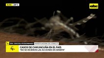 Video: Niegan que hayan casos de reinfección