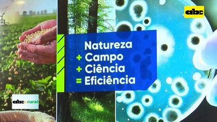 Video: En Show Rural Coopavel, presentaron tecnologías en soja y maíz