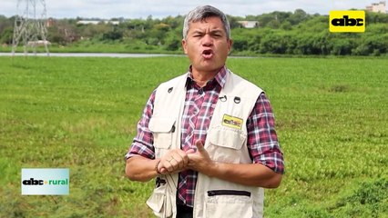 Video: uso de luz y riego para aumentar rendimiento de cultivos