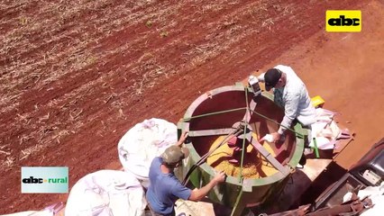 Video: Combinación de productos biológicos y químicos