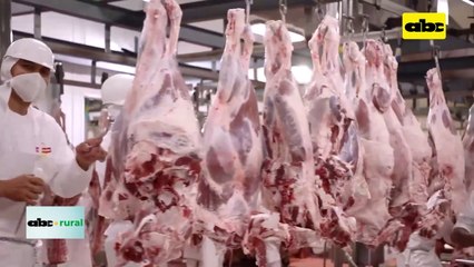 Video: Apertura del mercado de EEUU para la carne paraguaya estaría cerca