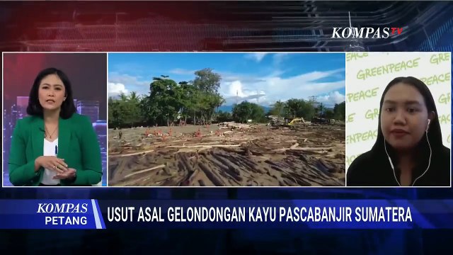 Bahas Gelondongan Kayu Banjir Sumatera, Greenpeace Singgung Eksploitasi-Perusahaan Ilegal