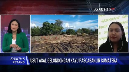 Bahas Gelondongan Kayu Banjir Sumatera, Greenpeace Singgung Eksploitasi-Perusahaan Ilegal