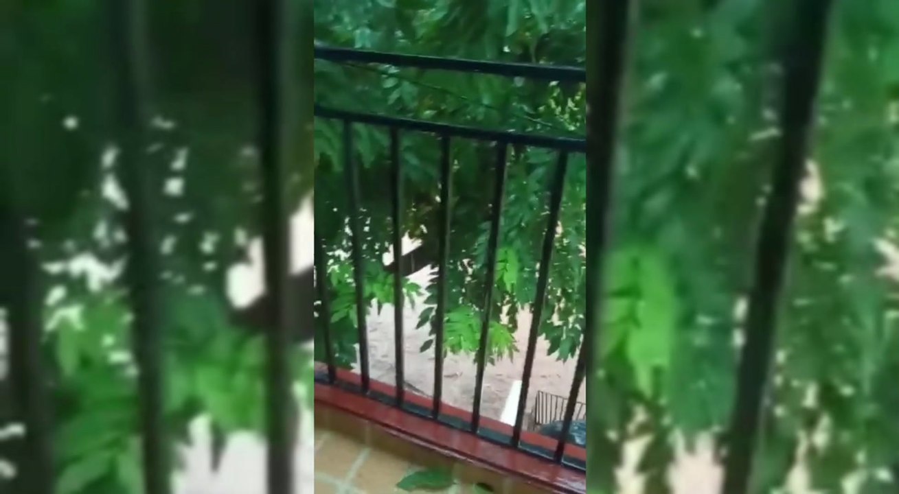 Vecinos Del Barrio San Jorge De Capiatá Denuncian Falta De Desagües