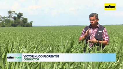 Video: Características y tecnología del drone pulverizador presentada por Caltech