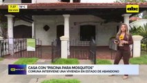 Video: Casa con “piscina para mosquitos”