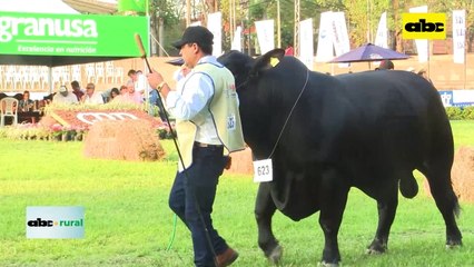 Video: Aso de Brangus con cargada agenda por su 40 aniversario