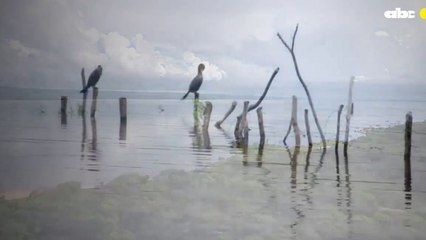 Una Cama Para La Virgen De Ysanne Gayet