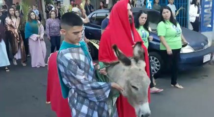 Así Se Vivió El Domingo De Ramos En San Lorenzo