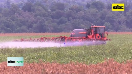Video: Nuevos herbicidas de BASF para los productores