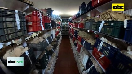 Video: Preparan Congreso de Semillas 2023