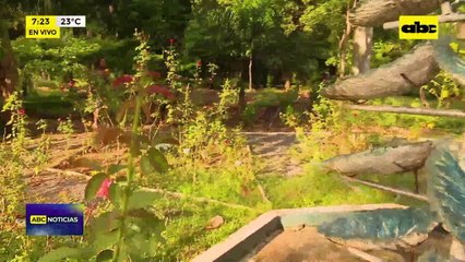 Video: Trabajos en el parque Caballero