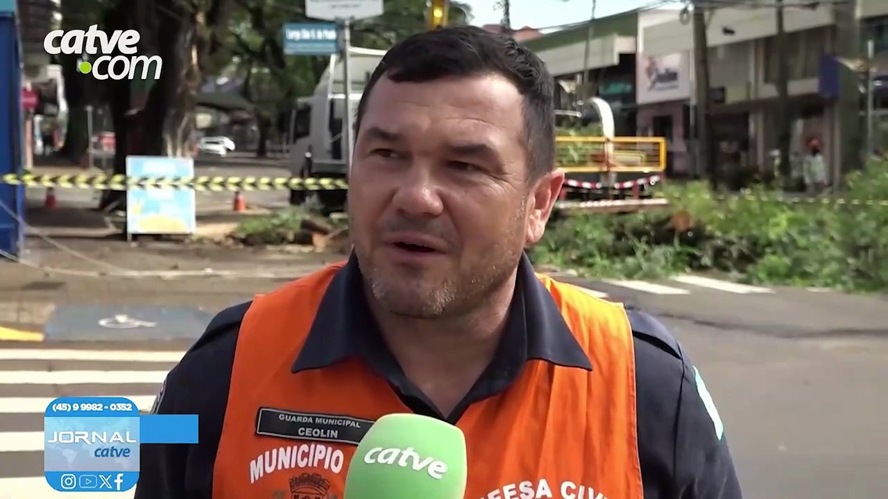 Após queda, árvores são avaliadas pela Secretaria de Meio Ambiente em Toledo