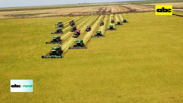 Video: Tecnología de suavizado de suelos en campos bajos para arroz, soja y otros