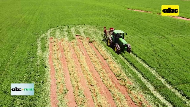 Video: Resultados en producción de maní con uso de fertilizantes diferenciados