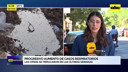Videos: Las cifras se triplicaron en las últimas semanas