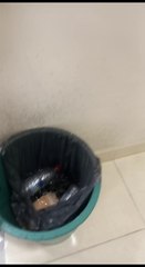 Primer Piso De Oficina De Gobierno Con Goteras