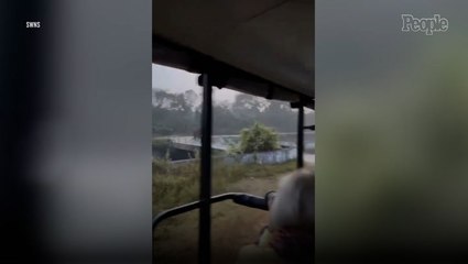 Tourists Describe Terrifying Moment Elephant Guarding Calves Charged Them on Botswana Safari