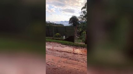 Temporal Afectó Viviendas Y Causó Destrozos En La Colmena