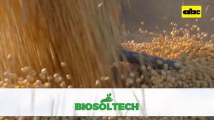 Video: Industria para procesar granos en el Chaco va tomando forma