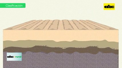 Video: Producción agrícola en suelos arenosos y densidad en zafriña de soja