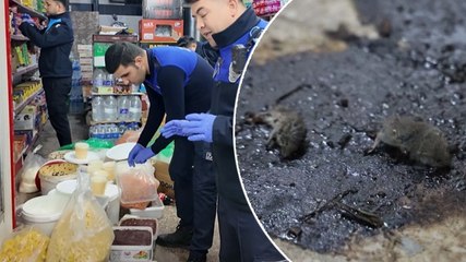 Mide bulandıran görüntüler: Hijyensiz ürünler, ölü fareler...