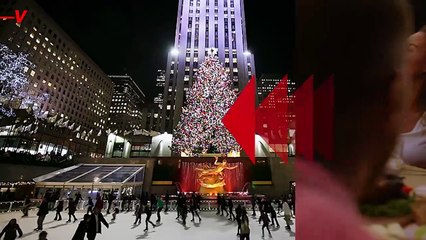 How to Keep Bugs and Germs Out of Your Holiday Season