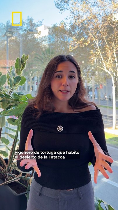 Los científicos están nombrando a nuevas especies como sus artistas favoritos