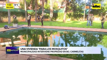 Video: Vivienda “para los mosquitos”