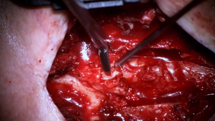 trauma room one s02e08