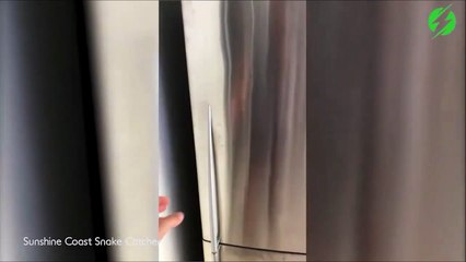 Regardez ce qu'il découvre dans son frigo... ça fait froid dans le dos