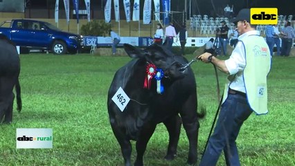 Video: Todo listo para la Nacional Brangus de otoño 2023
