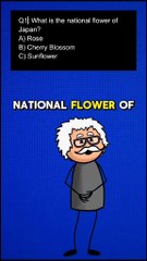 Fun Quiz Challenge | Can You Answer All Three Questions?