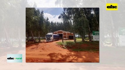 Video: Honestidad, compromiso y trabajo, para el éxito de una Aso de Productores