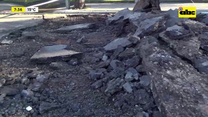 Video: Continúan los trabajos sobre Av. Carlos Antonio López