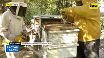 Video: Producción de miel en Pozo Hondo