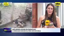 Influenza aviar en Paraguay: 21 personas expuestas pero sin síntomas