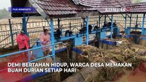 Warga Desa di Tapanuli Tengah Terisolir, Masinton: Bertahan Hidup dengan Makan Durian